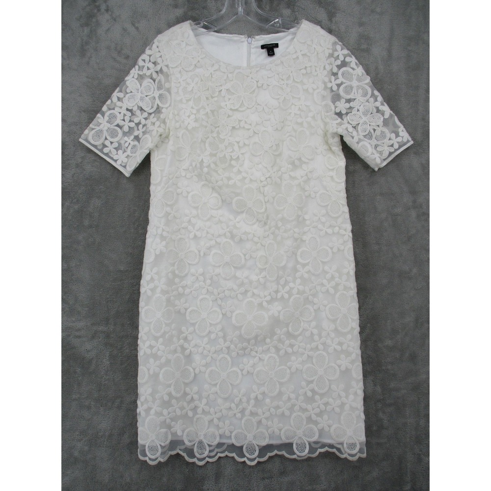 Ann Taylor Dress 8 Floral Lace Sheath Coquette Feminine Fairy Lined Zip Ivory